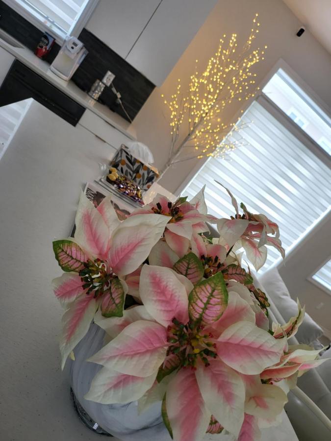 Bliss-Home Ottawa Exteriér fotografie